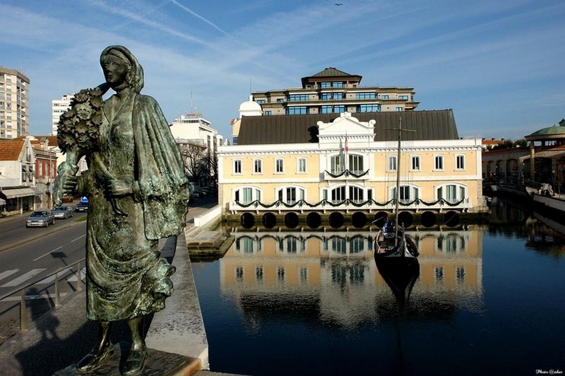 Hotel Moliceiro Aveiro Extérieur photo